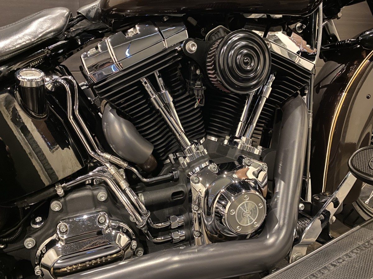 FLS 1580 ソフテイルスリム ソフテイル TC96 インジェクション イメージ4