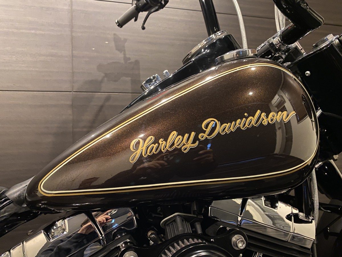 FLS 1580 ソフテイルスリム ソフテイル TC96 インジェクション イメージ5