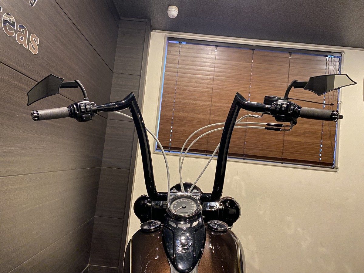 FLS 1580 ソフテイルスリム ソフテイル TC96 インジェクション イメージ6