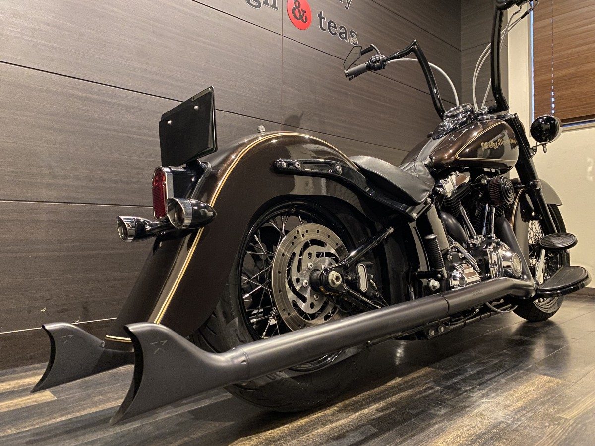 FLS 1580 ソフテイルスリム ソフテイル TC96 インジェクション イメージ8