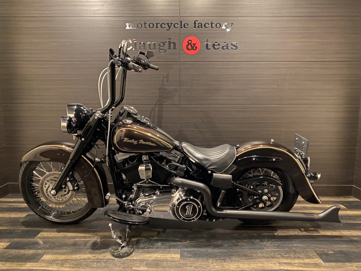 FLS 1580 ソフテイルスリム ソフテイル TC96 インジェクション イメージ9