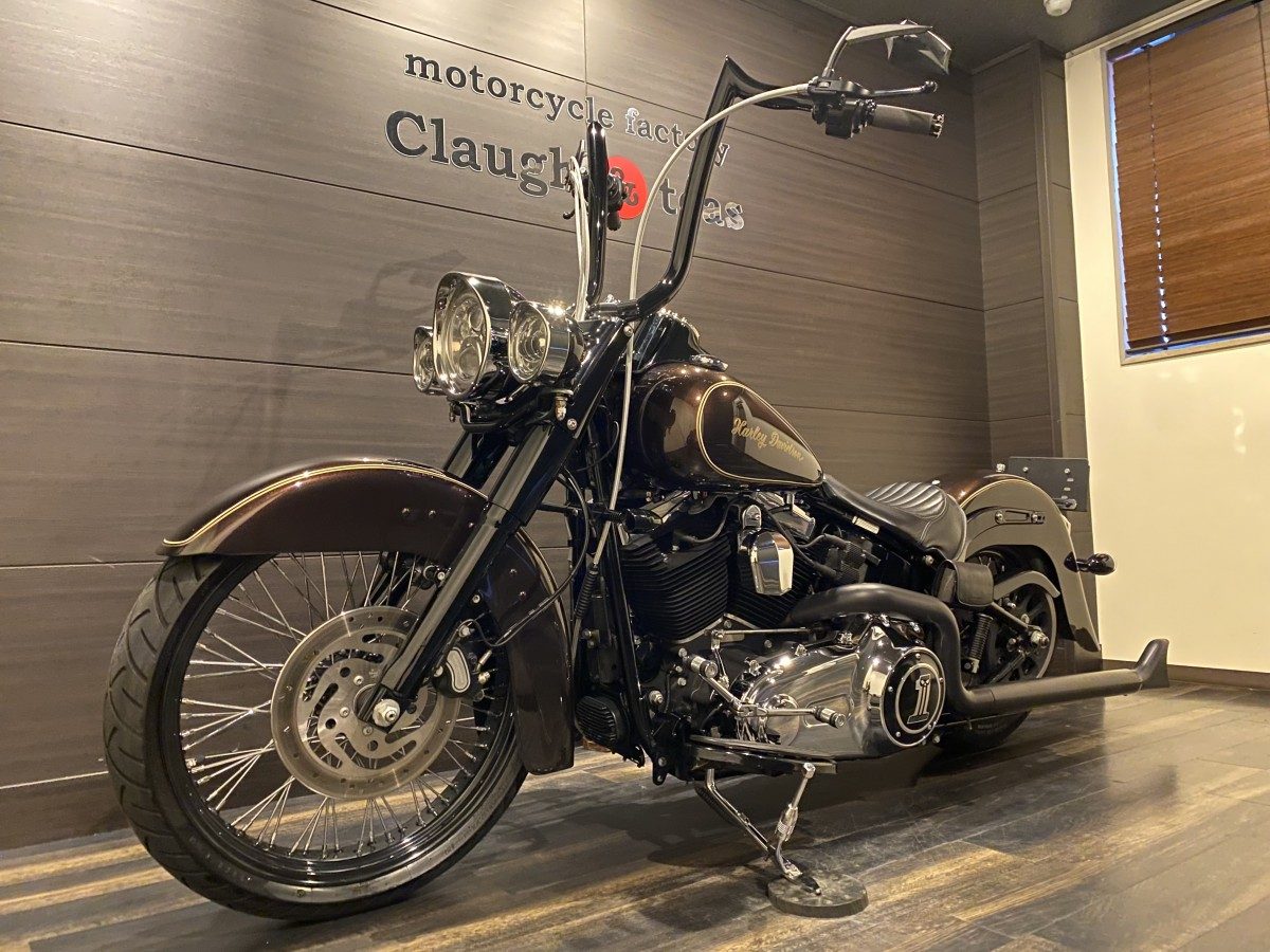 FLS 1580 ソフテイルスリム ソフテイル TC96 インジェクション イメージ10